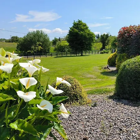 Swinford Country House * Swinford