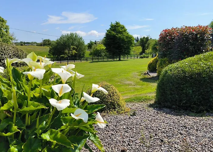 Swinford Country House * Swinford